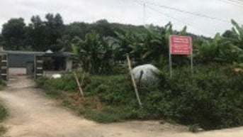 TBĐG thửa đất 972(Lô 48); tờ 07 tại Tượng Lĩnh, Nông Cống, Thanh Hóa
