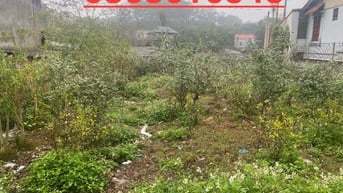 Đất full thổ cư không tranh chấp