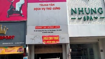 chính chủ cho thuê nhà nguyên căn mặt tiền 80 đường Hoàng Văn Thụ rẻ