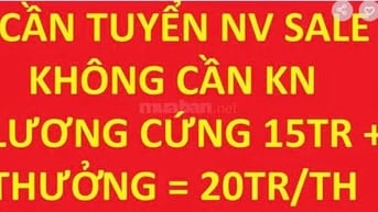 Tuyển gấp 6 NV sale thuê nhà phố, không cần KN, lương cứng 15tr+thưởng