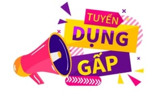 ✅️ TUYỂN GẤP 2 NHÂN VIÊN VĂN PHÒNG HÀNH CHÍNH NHÂN SỰ 