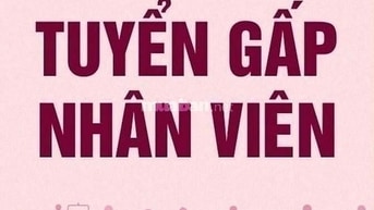 Viettelpost Tuyển nhân viên giao/lấy hàng tuyến cố định khu Đống Đa