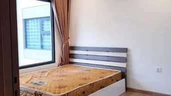 Cho thuê căn hộ chung cư khu đô thị Vinhomesmarcity Tây Mỗ Năm Từ Liê