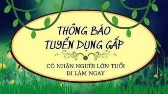 Chính chủ cần người làm gấp tại chi nhánh mới mở 