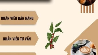 Việc làm thêm cho Sinh viên tại Tân Phú