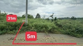 Công ty Đấu giá hợp danh Lam Sơn Sài Gòn THÔNG BÁO ĐẤU GIÁ TÀI SẢN