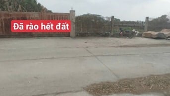 Bán đất Thổ cư đường Xuân Thới Sơn 6