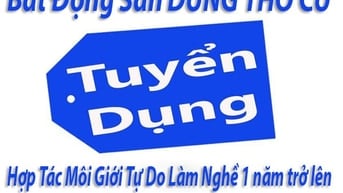 Hợp Tác Môi Giới Tự Do Làm Nghề 1 năm trở lên, thu nhập 50tr /tháng