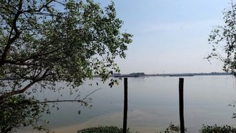 Bán biệt thự view sông Đồng Nai