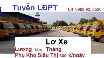 Lơ Xe Tải Lương 16tr/th LĐPT  Xếp Bánh Kẹo Tại Siêu Thị Lương 600k/ng 