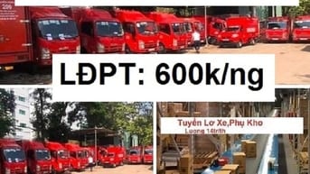 Lơ Xe Tải Lương 16tr/th LĐPT  Xếp Bánh Kẹo Tại Siêu Thị Lương 600k/ng 