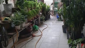 Cho thuê tầng 1 và 1 tầng hầm làm cửa hàng.
