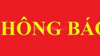 Công ty Cổ phần tư vấn và điều chỉnh SAVVY tổ chức mời chào giá