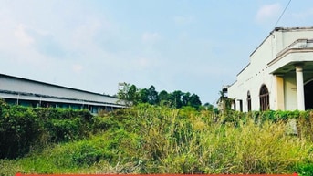 Đất Ngộp Bán Gấp Ngay Trung Tâm Thị Trấn Củ Chi, 311m2, Sổ Hồng Riêng