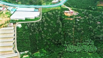 GIẢM MẠNH TỪ 19TỶ LÔ ĐẤT MẶT TIỀN QL20 BÁN SÁT VỐN CHỈ CÒN GẦN 18TỶ