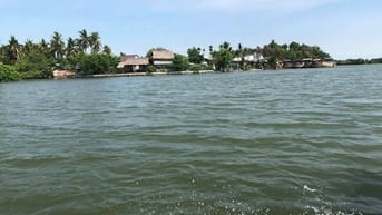 Đất cây lâu năm phú đông mặt rạch 800tr/1000m2