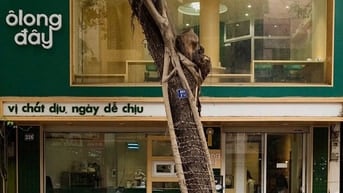 Cho thuê nhà Quang Trung - Hai Bà Trưng - mặt phố 50 triệu - đoạn đẹp