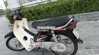 Bán Dim 50cc học sinh không cần bằng lái