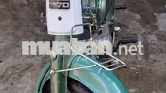Cub 81 70cc