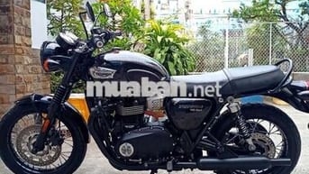 Triumph Bonneville T100