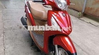 Shark mini 125. Fi