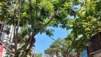 BÁN NHÀ 2 MẶT PHỐ VŨ HỮU, KINH DOANH SẦM UẤT, 108,5 M2, GIÁ 31,5 TỶ