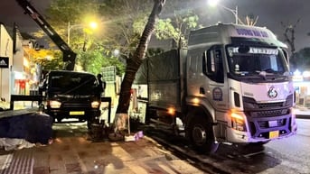 Tuyển lái xe 3 chân thùng bạt tại Hp