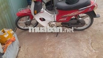 Bán xe như hình cà vẹt đầy đủ biển thành phố