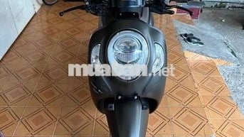 Bán scoopy 2021 BS 65 ngây chủ