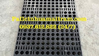 Bán Pallet nhựa cũ Đồng Nai đảm bảo chất lượng uy tín lên hàng đầu