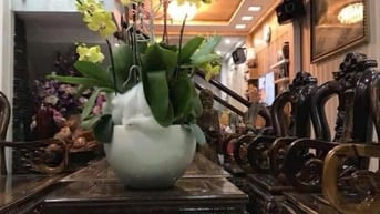 Bán nhà đường DC 11, Sơn Kỳ, Tân Phú: 4m X 20m, 2 lầu sân thượng 9,8tỷ