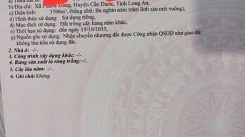 Bán đất vườn diện tích lớn tại Cần Đước