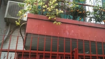 Nhà Đúc Đẹp Tường Đỏ Phòng Máy Lạnh