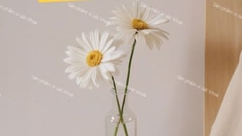  Bổ Sung Gấp Nhân Lực Làm Việc tại Gò vấp ở Sài Gòn 
