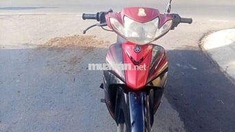 Surus giấy Sài Gòn