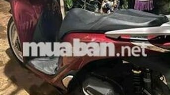 Sh đk cuối 219 đầu 220