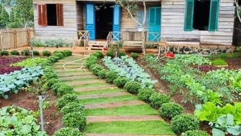 Chính chủ bán 1000m2 thôn 3 cư Êbur có cà phê 20x50  tiêu siêu đẹp 
