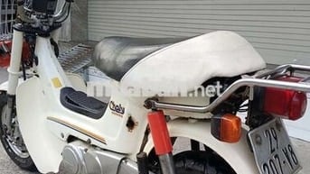 Chaly đèn vuông đời 84