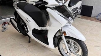Sh350i máy thái đk 2024
