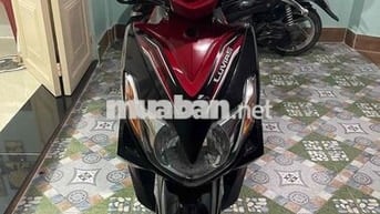 Bán luvias ngoại hình rất đẹp, giấy tờ đầy đủ