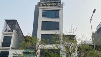 Cho thuê nhà ĐỘI CẤN 60m2 x 7 tầng có THANG MÁY 35tr thương lượng được