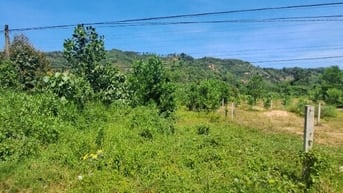 Bán đất 228m2 (100m thổ)  Đạ Tồn, H Đạ Huoai , MT đường, 800tr.