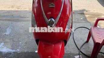 Attila Fi rất đẹp