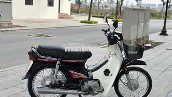 dream thái máy zin biển tươi cho anh em