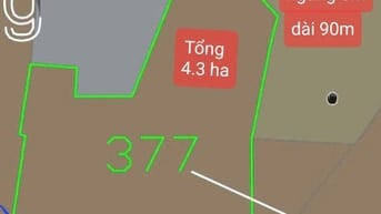 Bán ĐẤT CAO SU 4.3 ha (3TY5/ha TL thiện chí) cạnh kênh Tây, KCN Chà Là
