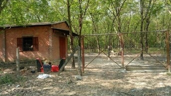 GĐ bán đất CAO SU 4.3ha (2 tỷ 520/ha TL) gần KCN Chà Là, cạnh kênh Tây