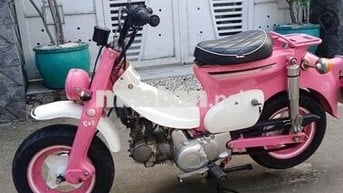 SG Cub cánh én độ