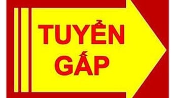TUYÊN DỤNG NHÂN VIÊN GIAO HÀNG