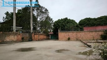 CẮT LỖ- HƠN 1 TỶ -60M ĐẤT MINH TRÍ(SÓC SƠN)+ NGÕ Ô TÔ