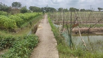 CƠ HỘI SỞ HỮU ĐẤT VƯỜN SIÊU ĐẸP TẠI HƯNG LONG, BÌNH CHÁNH – DIỆN TÍCH 